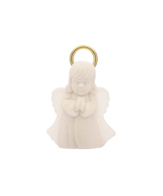 Dėžutė angeliukas  - Goldinga