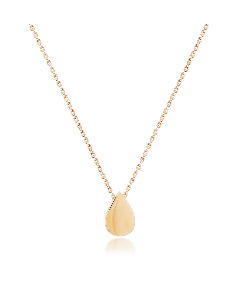 Auksinė grandinėlė su pakabuku  - Goldinga