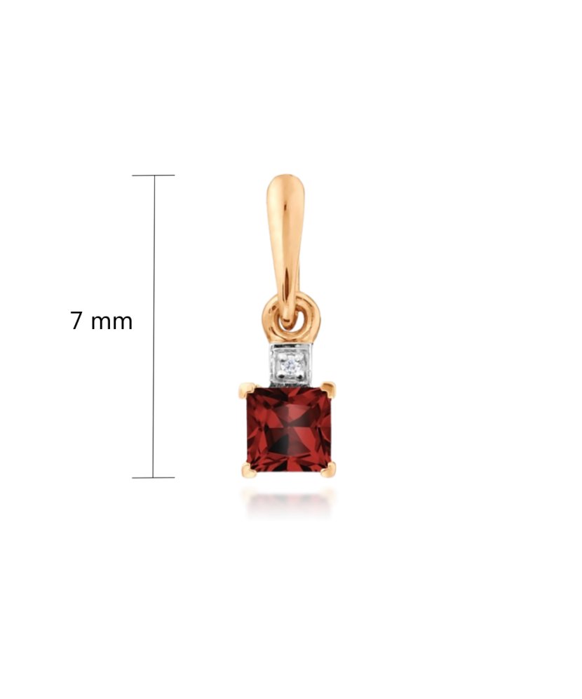 Auksinis pakabukas su granatu ir cirkoniais  - Goldinga