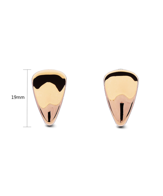 Auksiniai auskarai  - Goldinga