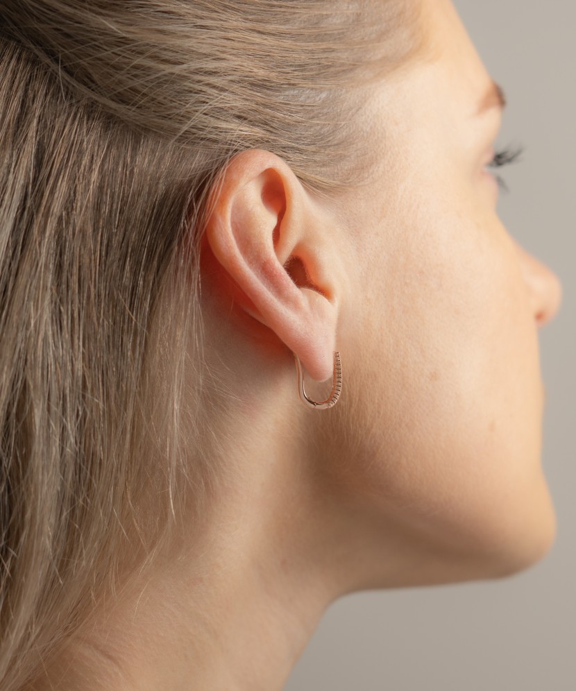 Gold earrings with zircons
