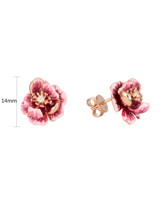 Kultaahopeiset korvakorut zirkoneilla ja emali