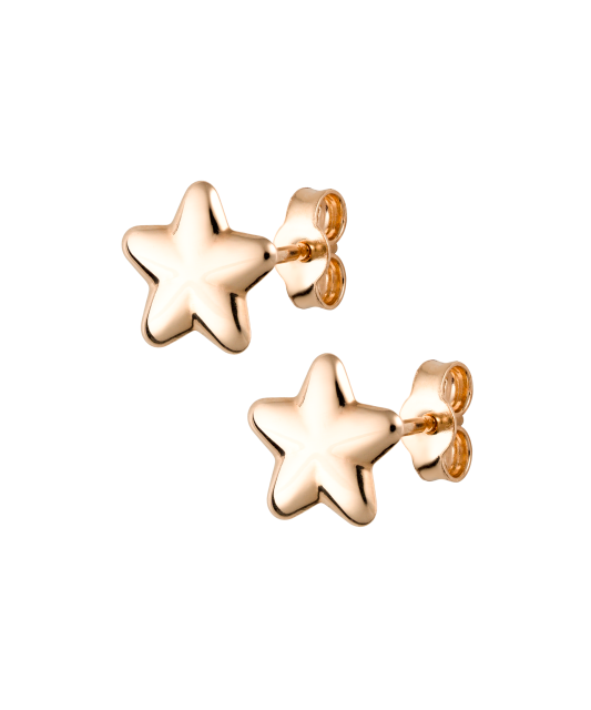 Gold earrings "Star"