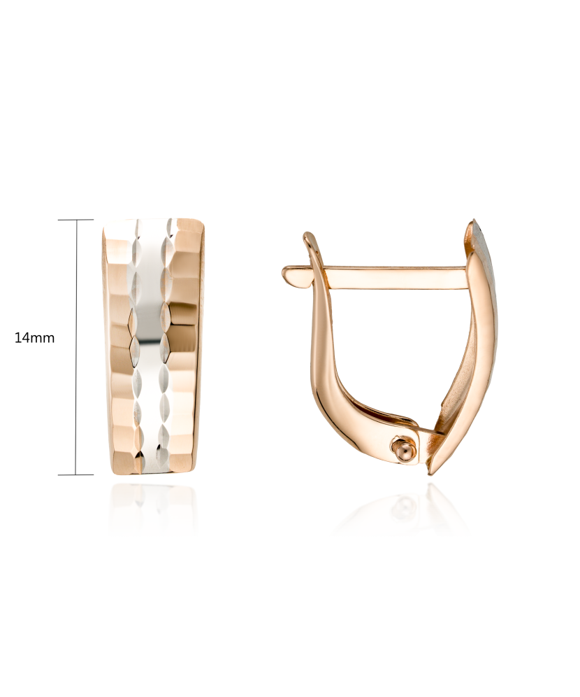 Kultaiset korvakorut