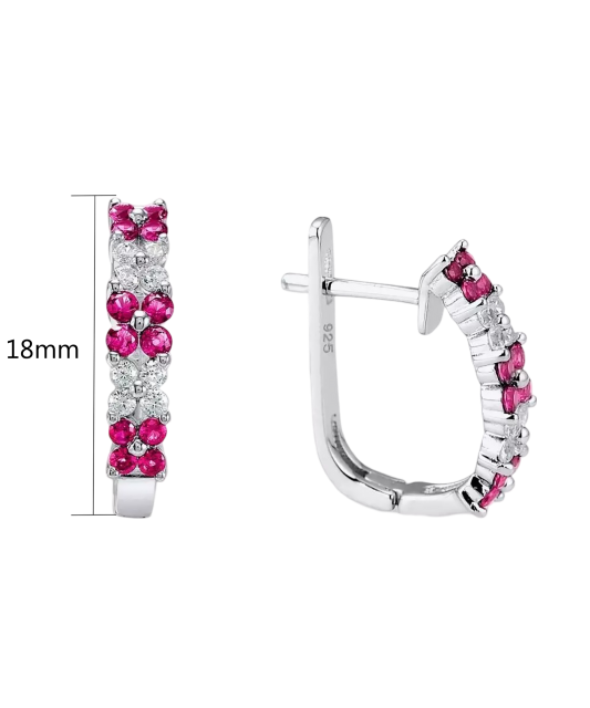 Sterling Silver earrings with nano rubies and zircons