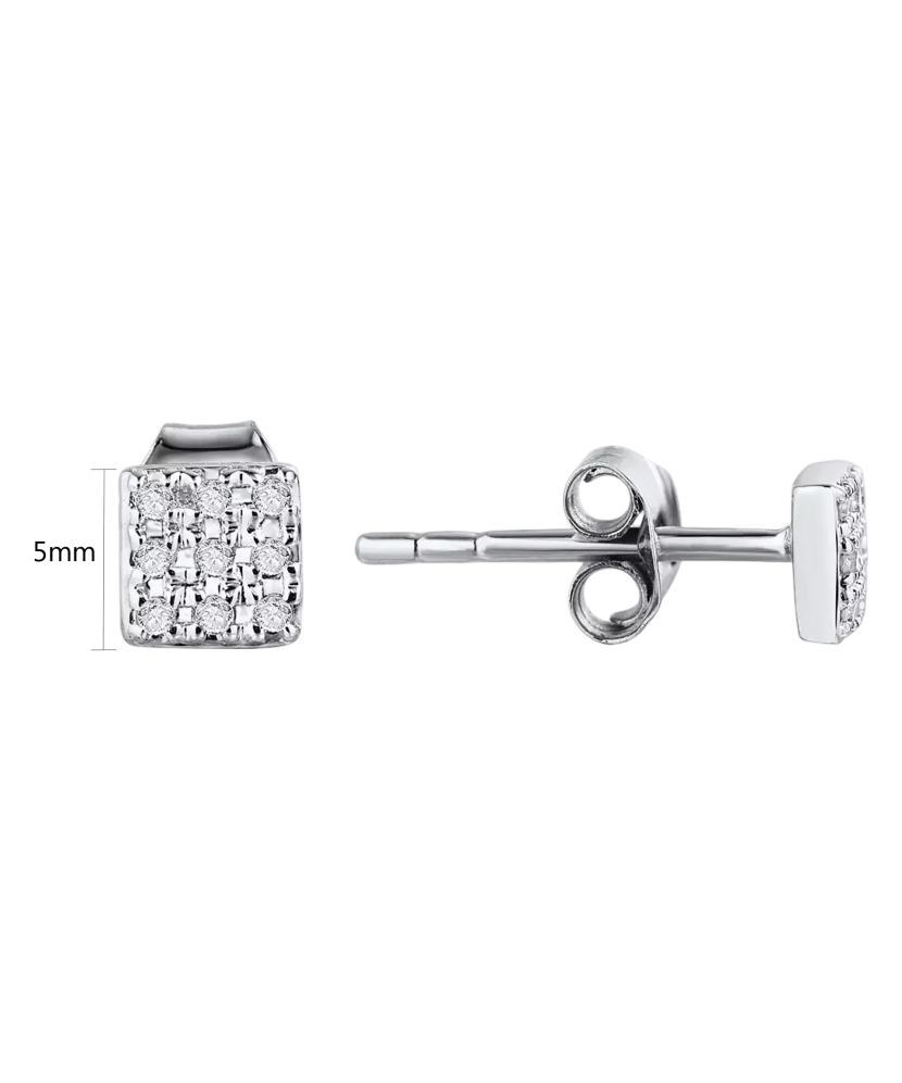 White Gold earrings with diamonds