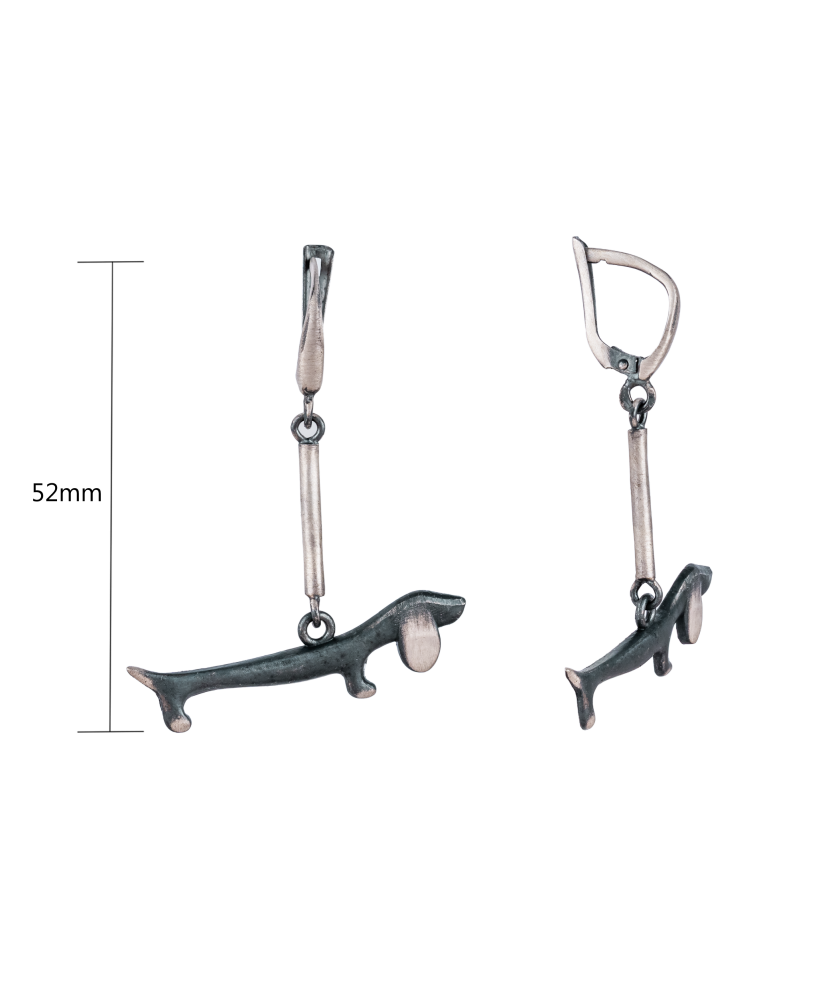 Hopeiset korvakorut "Pennut"