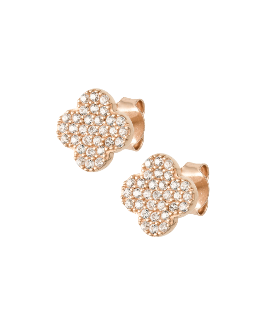 Gold earrings with zircons