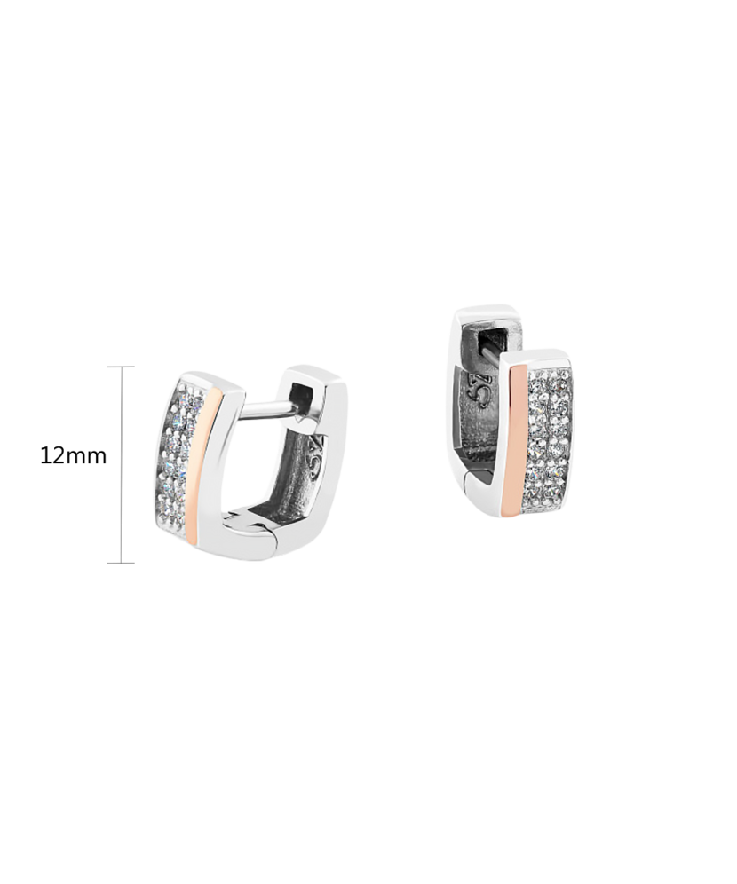 Sterling silver earrings gold plated with zircons