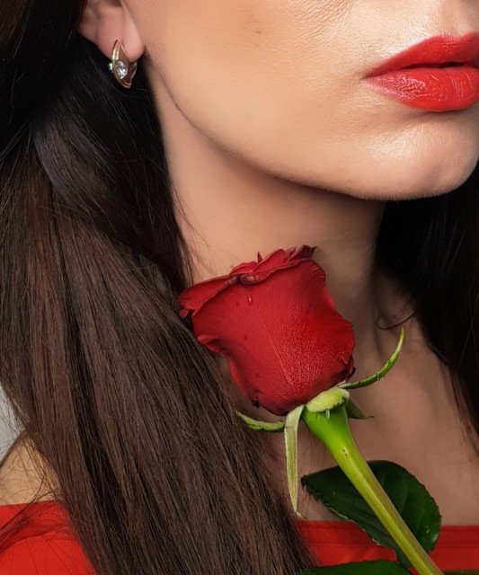 Sterling silver earrings gold plated with zircons