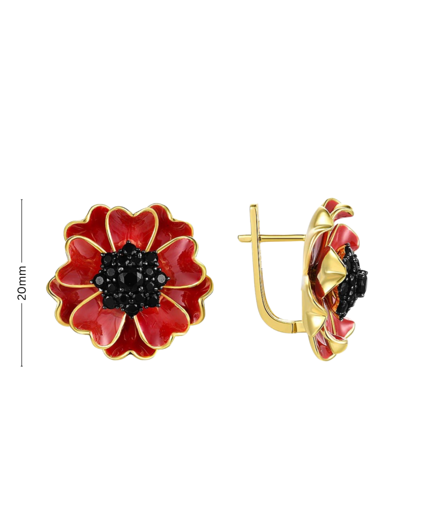 Kultaahopeiset korvakorut zirkoneilla ja emali