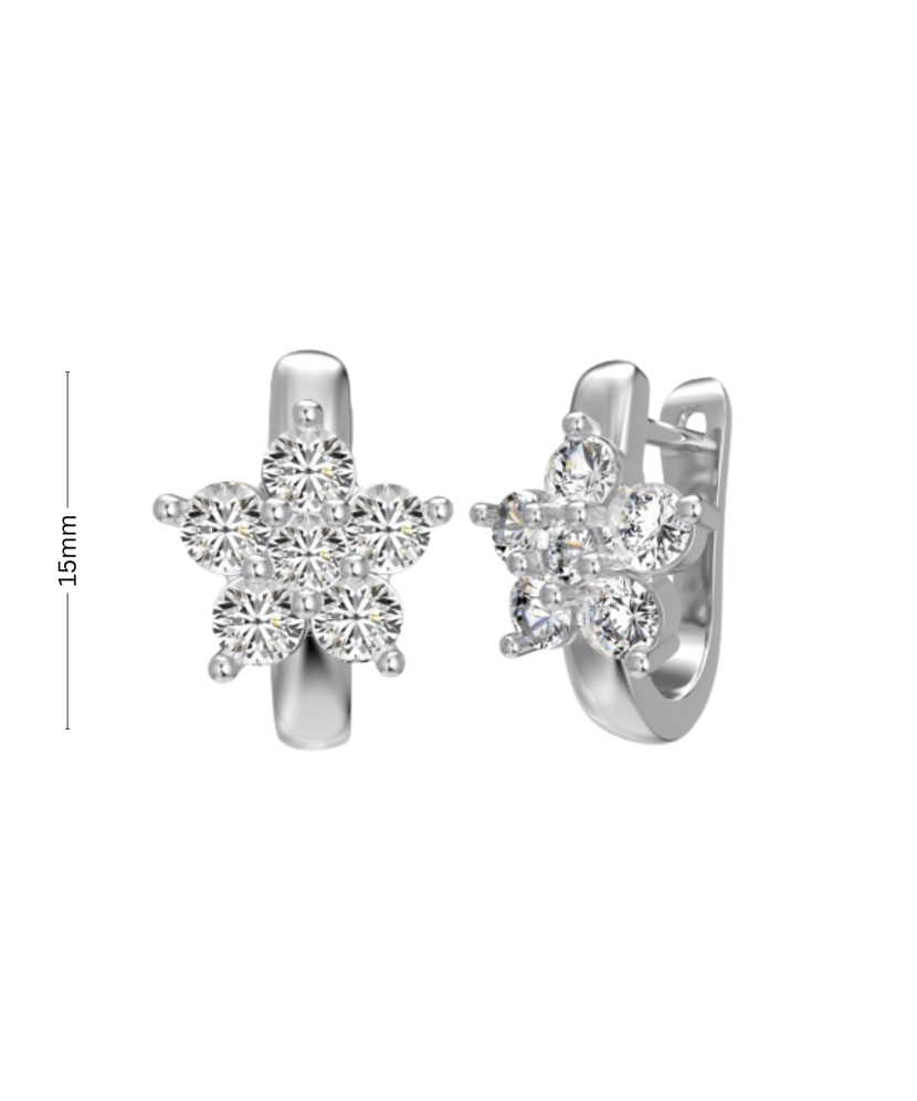 Sterling silver earrings with zircons