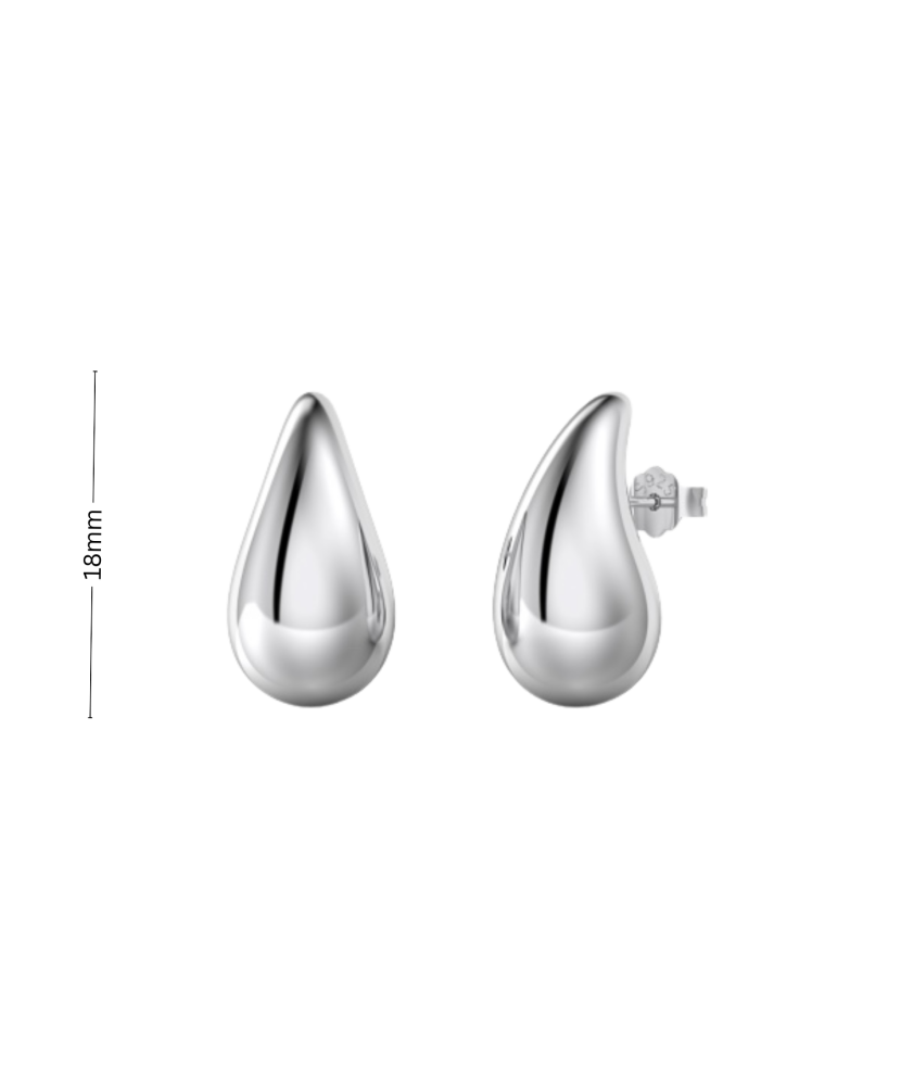 Sterling silver earrings