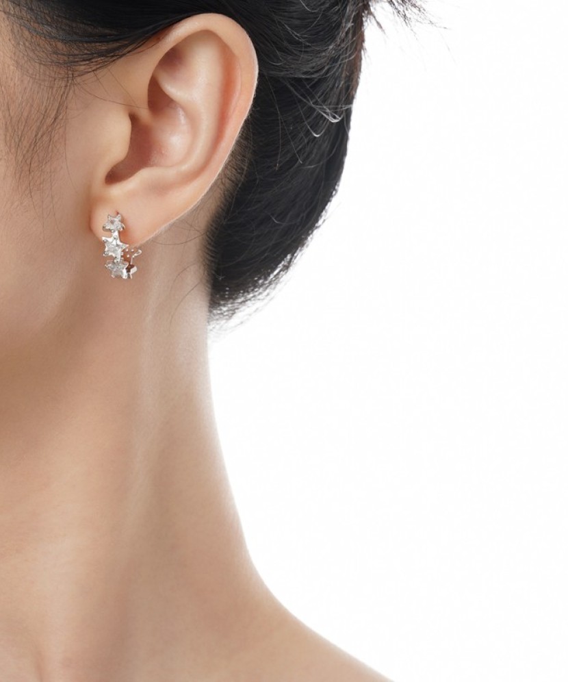 Sterling silver earrings with zircons