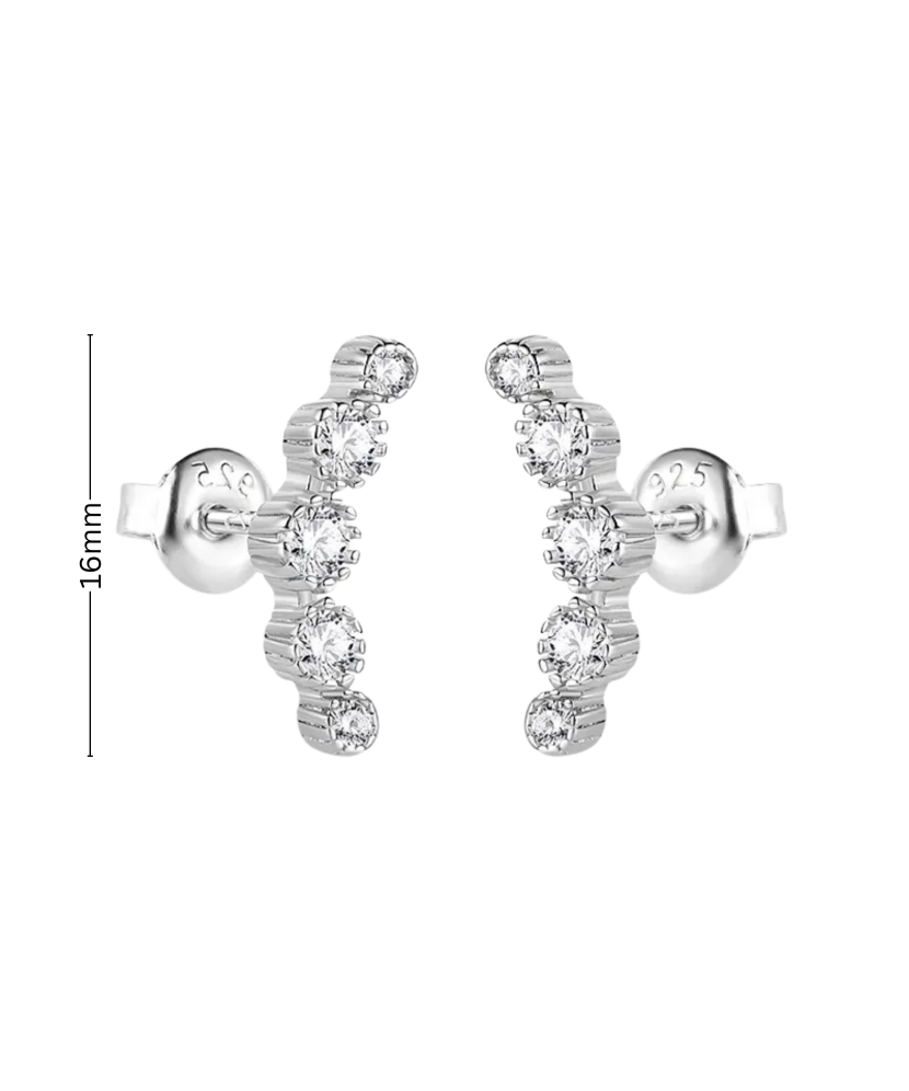 Sterling silver earrings with zircons