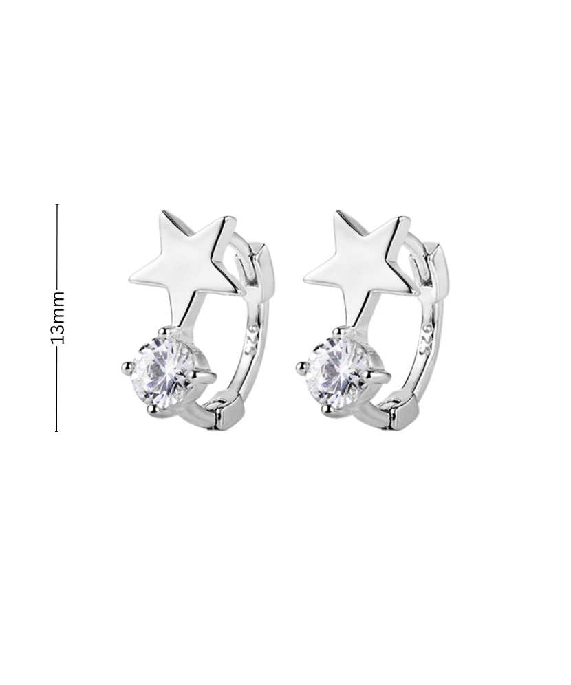 Sterling silver earrings with enamel and zircons