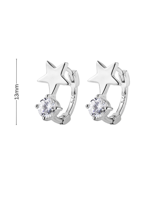 Sterling silver earrings with enamel and zircons