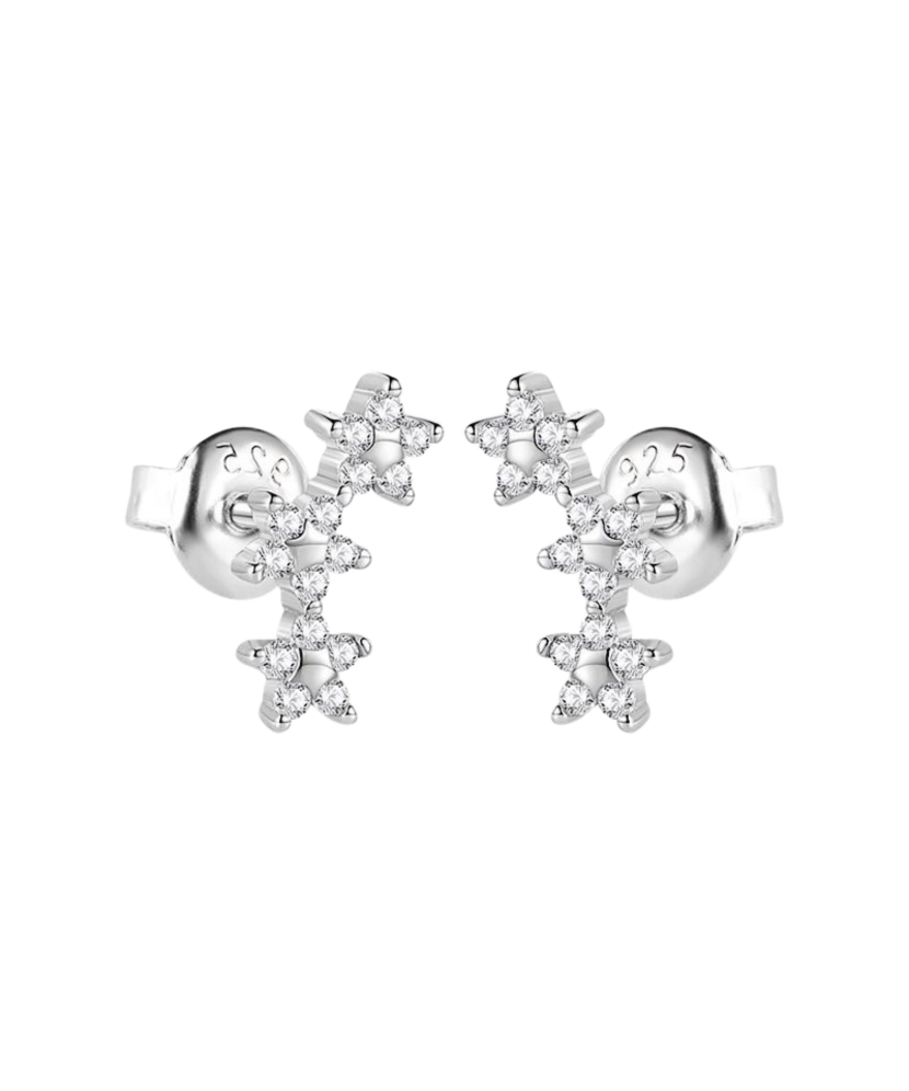 Sterling silver earrings with zircons