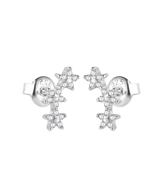 Sterling silver earrings with zircons