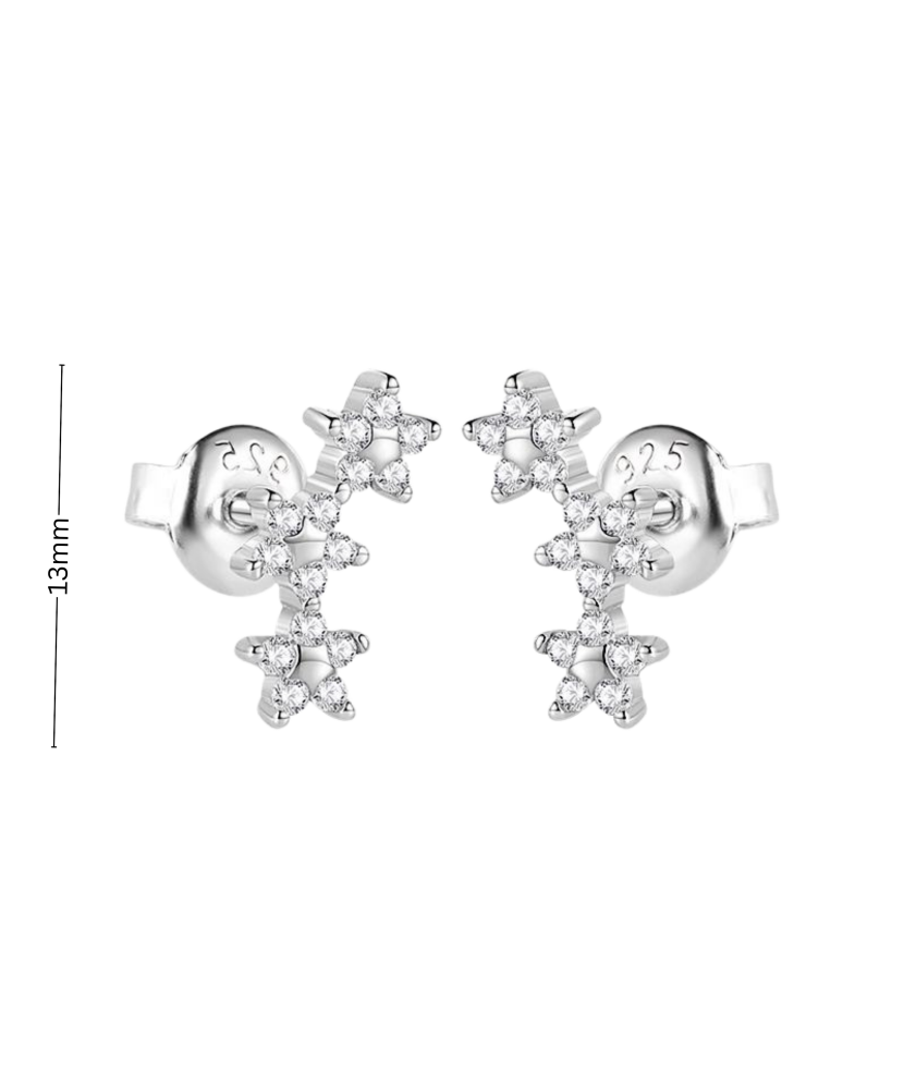 Sterling silver earrings with zircons