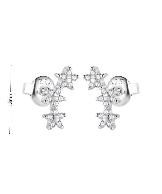 Sterling silver earrings with zircons
