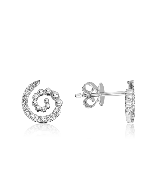 White Gold earrings with diamonds