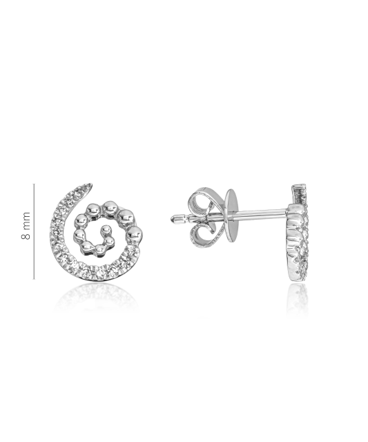 White Gold earrings with diamonds