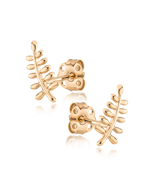 Kultaiset korvakorut