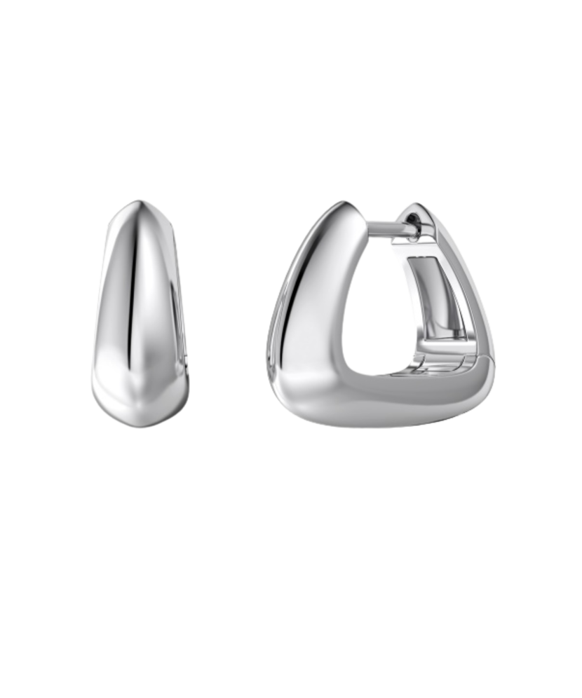 Sterling silver earrings