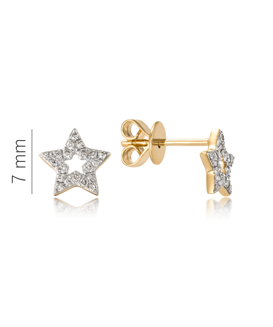 Yellow Gold earrings with diamonds