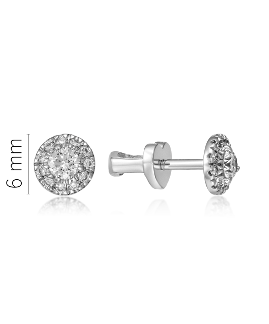 White Gold earrings with diamonds