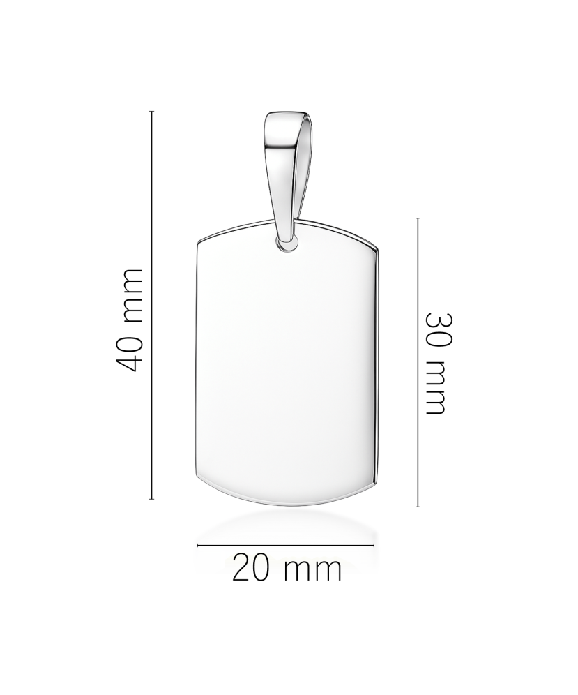 Sterling silver pendant "Plate"