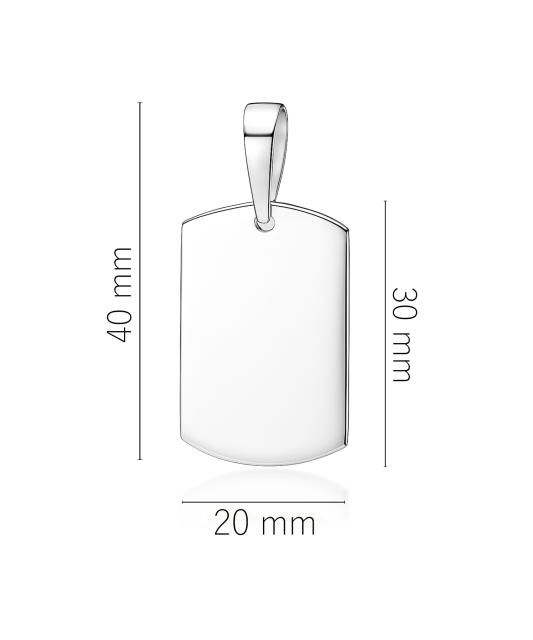 Sterling silver pendant "Plate"