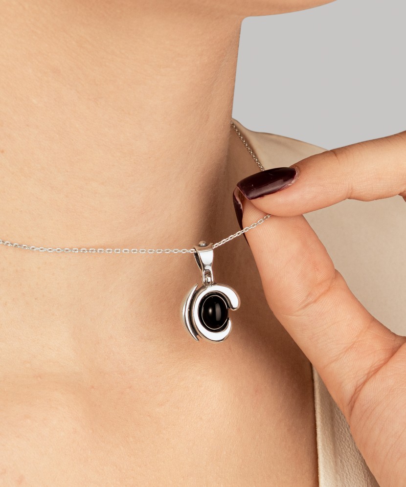 Hopeariipus onyxilla