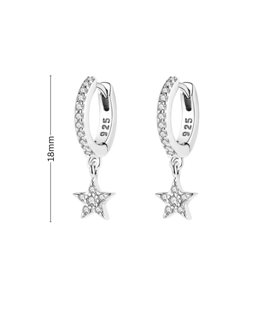 Sterling silver earrings with zircons
