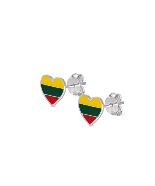 Sterling silver earrings with enamel