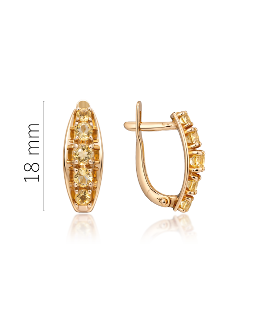 Kultaiset korvakorut sitruunalla