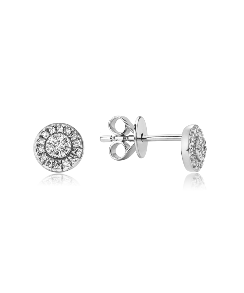 White Gold earrings with diamonds