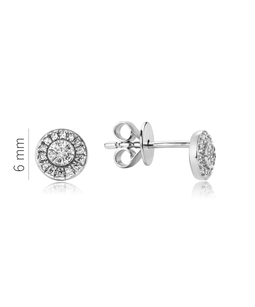 White Gold earrings with diamonds
