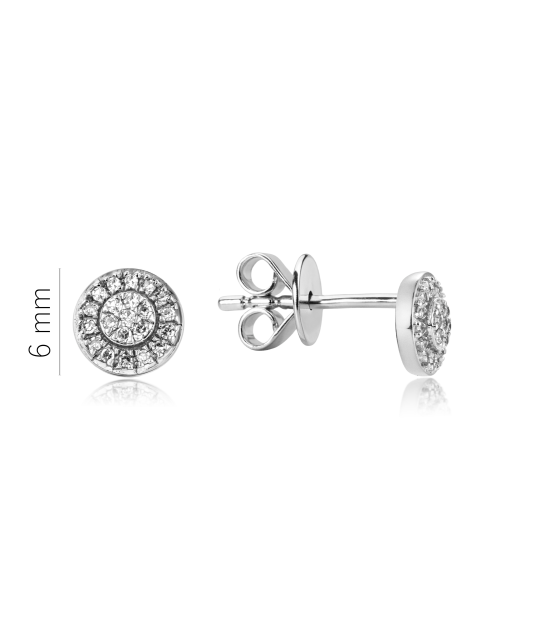 White Gold earrings with diamonds