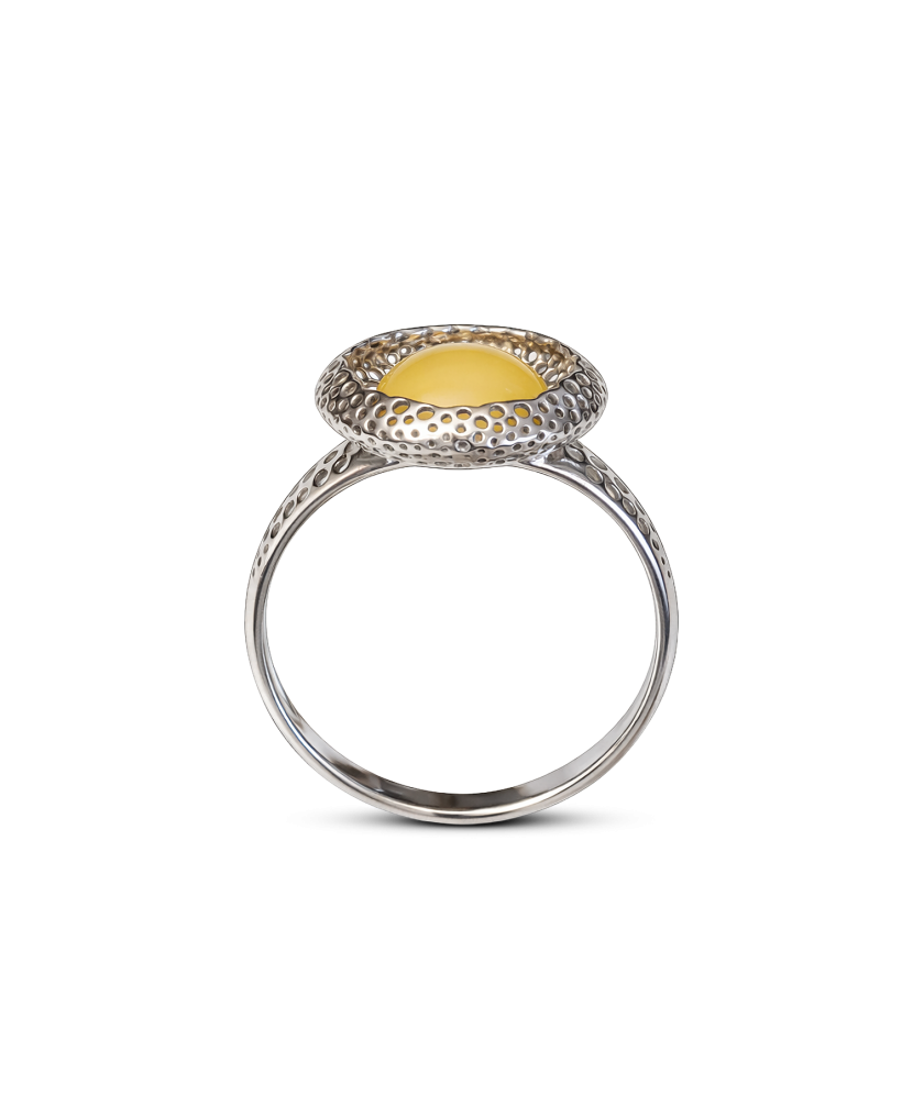 Hopeasormus meripihkalla