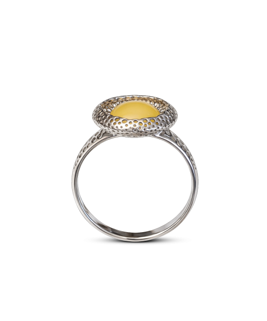 Hopeasormus meripihkalla