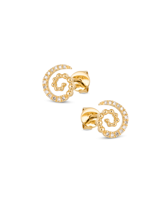 Yellow Gold earrings with diamonds