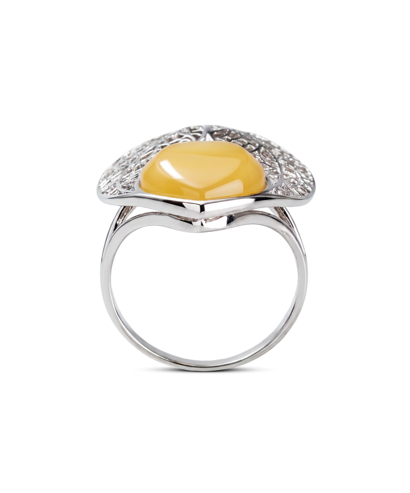 Hopeasormus meripihkalla