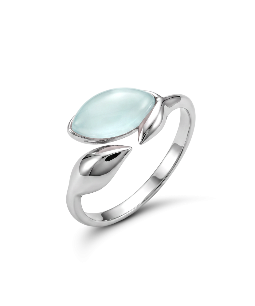 Hopeasormus akaattia