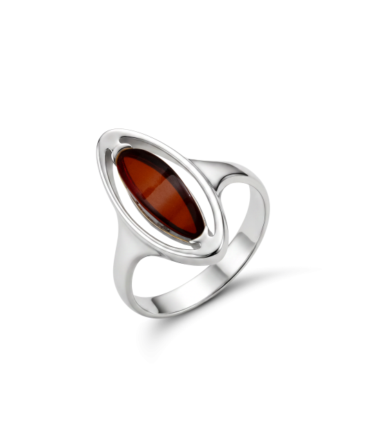 Hopeasormus meripihkalla