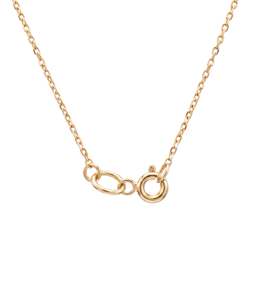 Double gold chain with pendants
