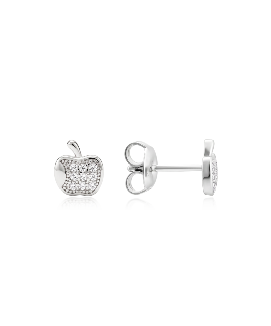 Sterling silver earrings with zircons