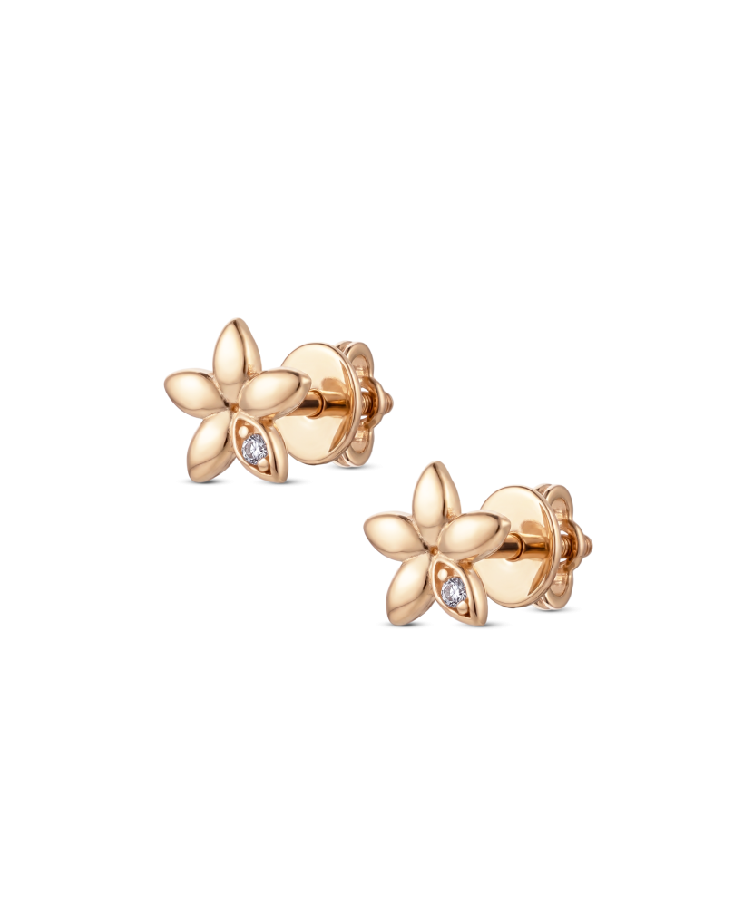 Gold earrings with zircons