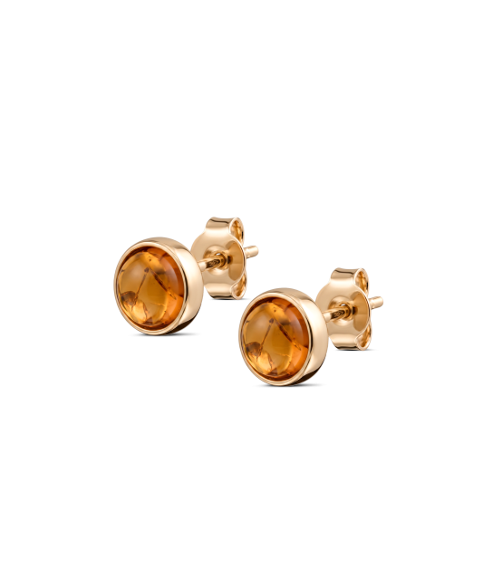 Gold earrings with amber